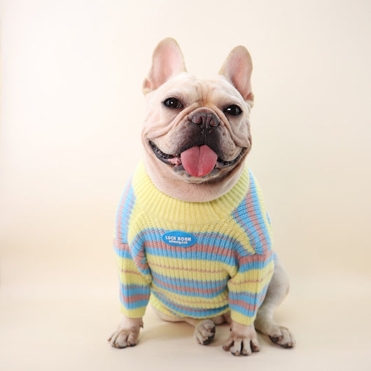 Suéter de Invierno para Perros Pequeños - Abrigo Cálido para Razas Toy - Image 11