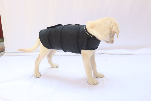 Chaleco Calmante para Perros - Prenda de Compresión contra la Ansiedad - Image 7