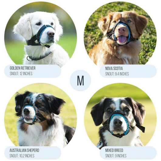Bozal Transpirable para Perros - Múltiples Talles Anti-Ladridos - Image 4