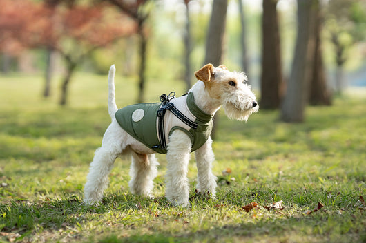 Chaleco Térmico Protector para Perros - Image 22