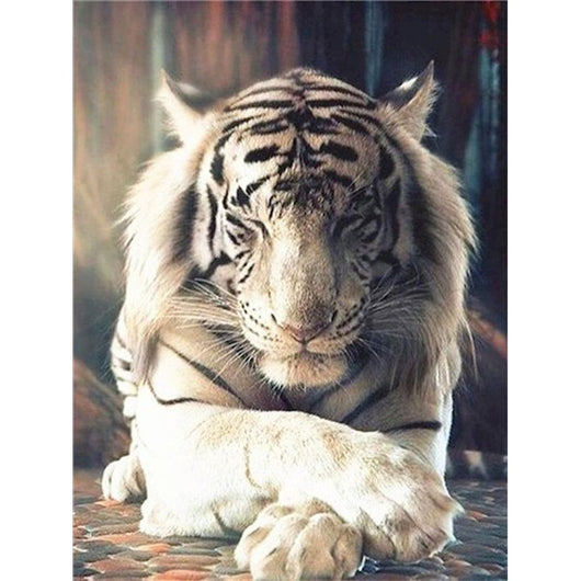 Pintura por Números Tigre Blanco - Image 10