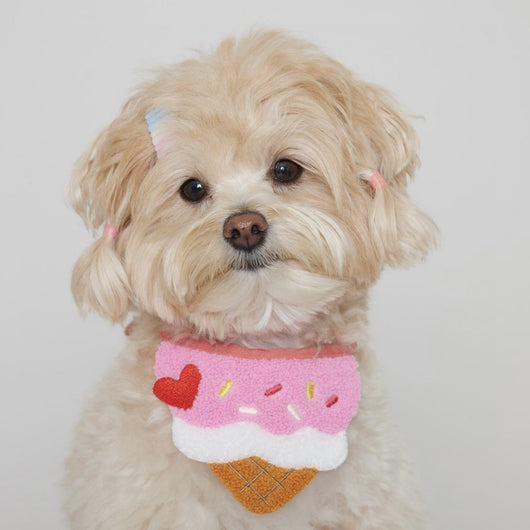 Babero Absorbente para Mascotas con Bolsillo Saliva - Image 12
