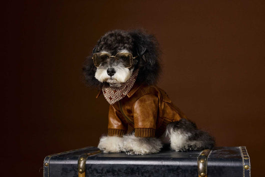 Abrigo de Cuero Retro Estampado Schnauzer Bichon - Manga Larga Unisex - Image 16