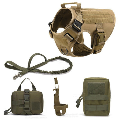 Kit Completo para Paseos: Arnés Entrenamiento, Correa, Comedero Portátil y Bolsa Almacenamiento - Image 10