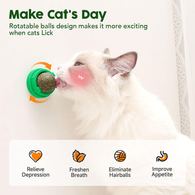 Juguetes de Catnip para Gatos - Set 4 Bolas Energéticas con Silvervine y Limpieza Dental - Image 6