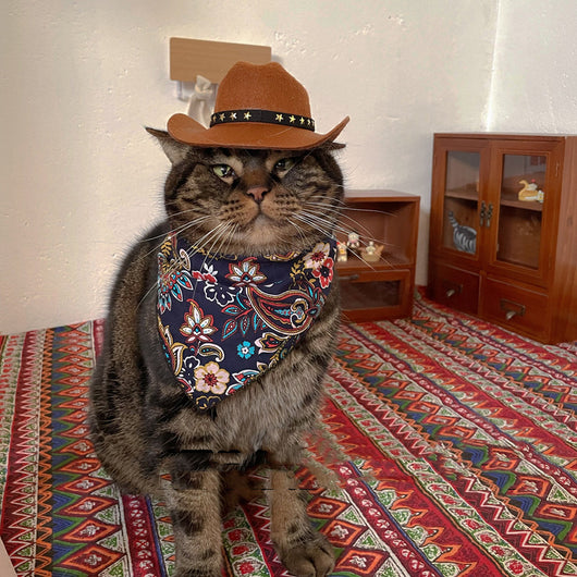 Sombrero Vaquero Decorativo para Gatos - Image 9