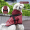 Poncho Impermeable para Perros Pequeños y Medianos
