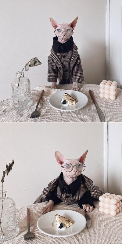 Traje Elegante para Gatos Sphynx y Razas sin Pelo - Image 16