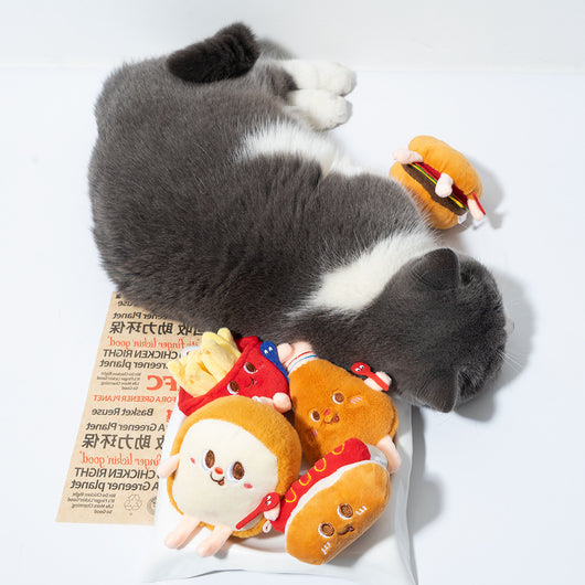 Juguete Mordedor para Gatos con Catnip - Hamburguesa y Pata de Pollo Resistente - Image 15