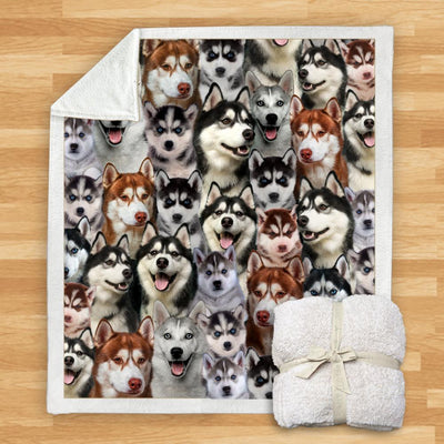 Manta de Franela Estampada para Perros de Diseño Moderno - Image 2