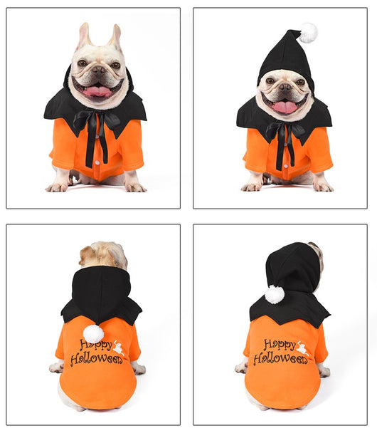 Suéter de Calabaza Divertido de Dos Piezas para Perros - Poncho Incluido - Image 18