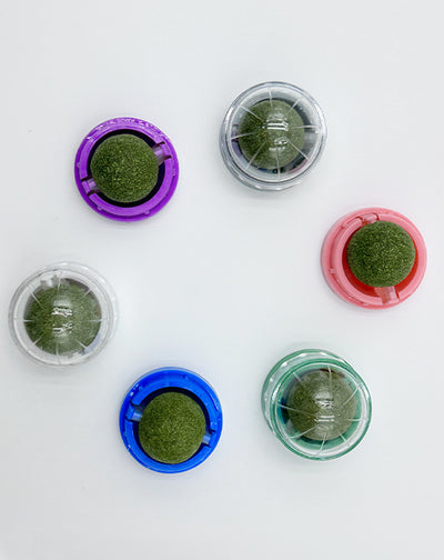 Pelota Interactiva Masticable para Gatos - Juguete Mordedor y Alivio del Estrés - Image 9