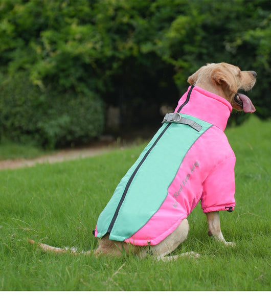Abrigo Térmico de Polar para Perros - Image 29