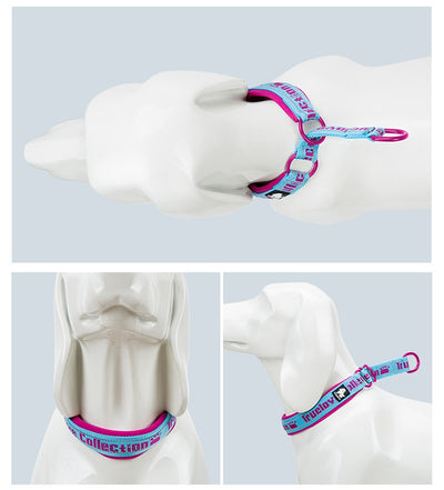 Collar Ajustable para Perro Truelove con Tela de Buceo Reflectante - Image 23