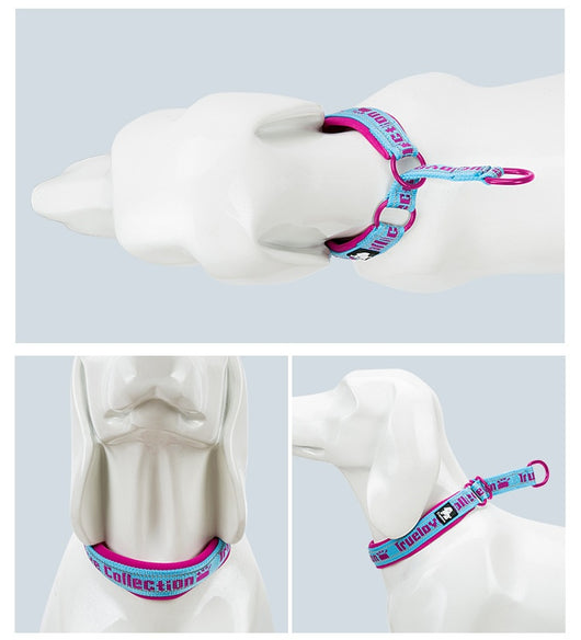 Collar Ajustable para Perro Truelove con Tela de Buceo Reflectante - Image 23