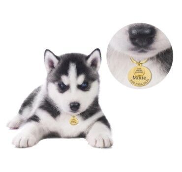 Placa de Identificación Personalizada para Mascotas - Image 3
