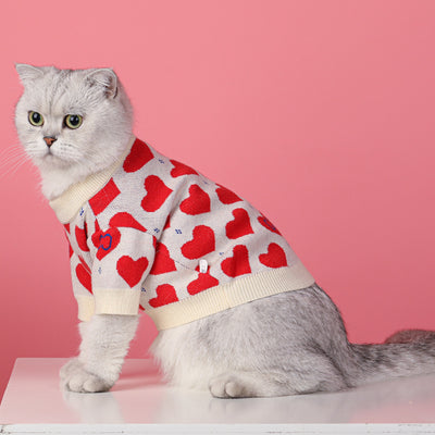 Suéter Tejido para Schnauzer y Gatos Pequeños - Image 5