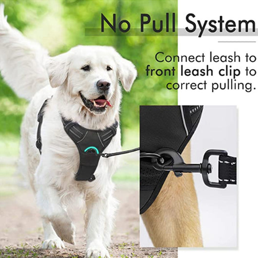 Chaleco Reflectante para Perro con Cuerda de Agarre Manual