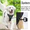 Chaleco Reflectante para Perro con Cuerda de Agarre Manual