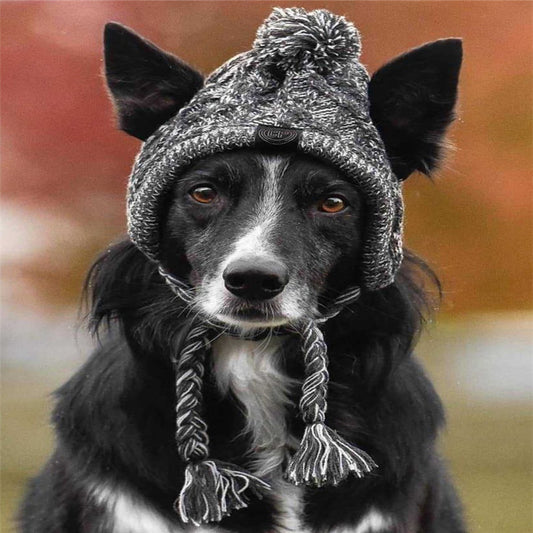 Gorro de Lana para Perros - Colección Otoño Invierno