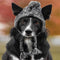 Gorro de Lana para Perros - Colección Otoño Invierno