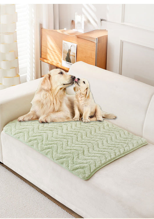 Cama Ortopédica para Mascotas - Colchón Térmico Acolchado Premium - Image 15