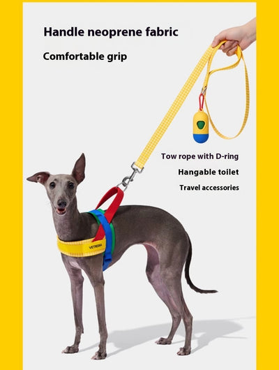 Arnés de Pecho y Correa de Tracción para Perros - Image 15