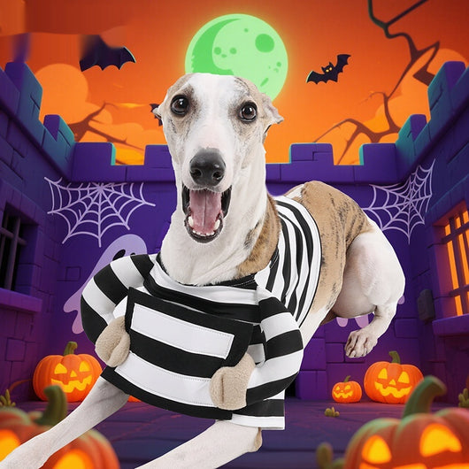 Disfraz de Halloween para Perros con Rayas Divertidas - Image 9