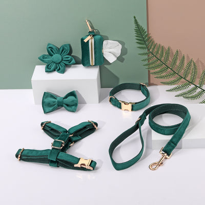 Conjunto de Collar y Correa de Terciopelo Suave para Mascotas - Image 31