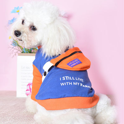 Suéter para Perro Pequeño con Mochila Desmontable - Image 10