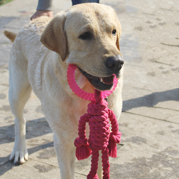 Juguete Interactivo de Nudos para Perros Grandes