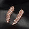Zircon Dorado and Plateado leaf earrings Korean fashion ladies Rose Dorado