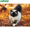 Cuadro de Diamantes Paisaje con Gatito Adorable
