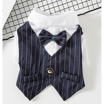 Traje Elegante para Perros Pequeños - Image 16