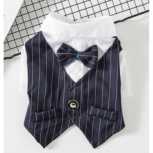 Traje Elegante para Perros Pequeños - Image 16