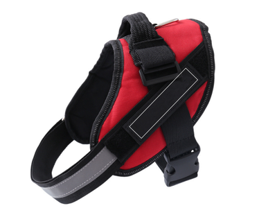 Arnés Ajustable para Perro con Parche de Identificación Personalizado - Image 6