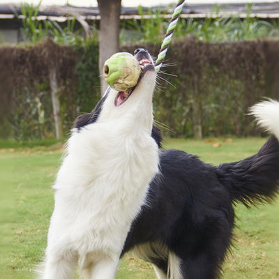 Juguetes de Cuerda con Nudos para Perros - Juego Interactivo de Tracción - Image 13