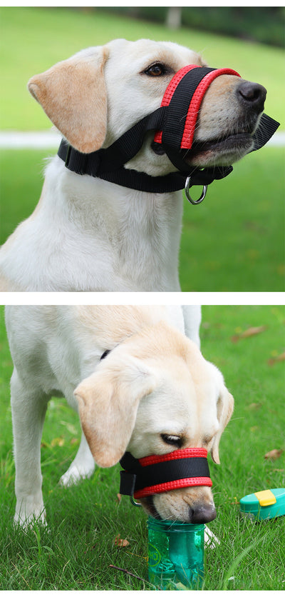 Bozal Antiladridos Transpirable con Correa - Herramienta de Adiestramiento Canino - Image 13
