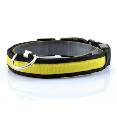 Collar LED Luminoso para Perros - Image 11