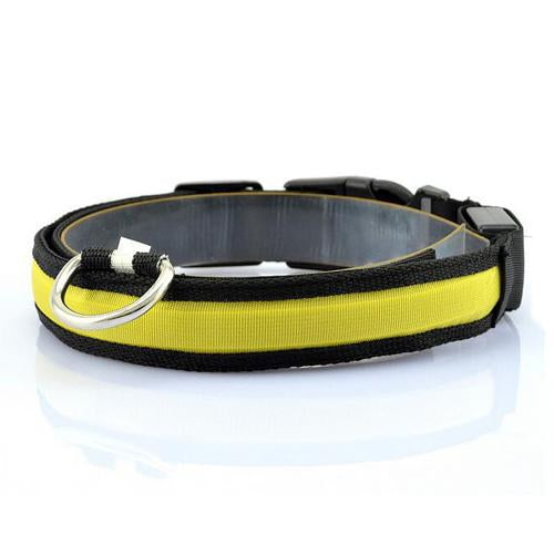 Collar LED Luminoso para Perros - Image 11
