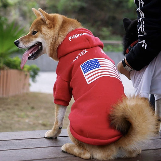 Abrigos Cálidos para Perros - Otoño e Invierno