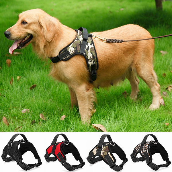 Collar para Perro Mediano y Grande de Calidad Premium