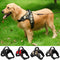 Collar para Perro Mediano y Grande de Calidad Premium