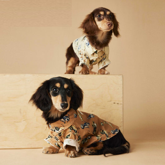 Playera Estampada con Razas de Perros - Dachshund, Schnauzer, Bichón y Maltés - Image 4
