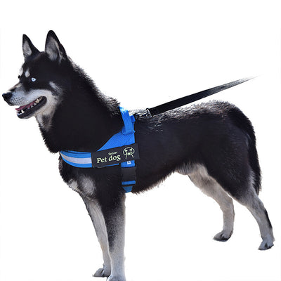Arnés de pecho y correa para perros - Image 2