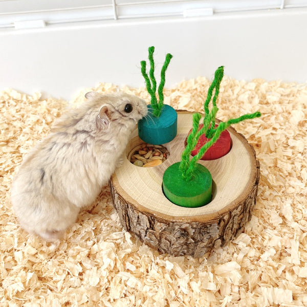 Wooden pet foraging snack box with three colorful pegs (blue, red, green) and green string 'stems' for rabbits and guinea pigs.