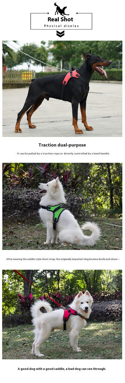 Blue and black mesh dog harness with adjustable straps, a D-ring for leash attachment, and a quick-release buckle. - Image 21