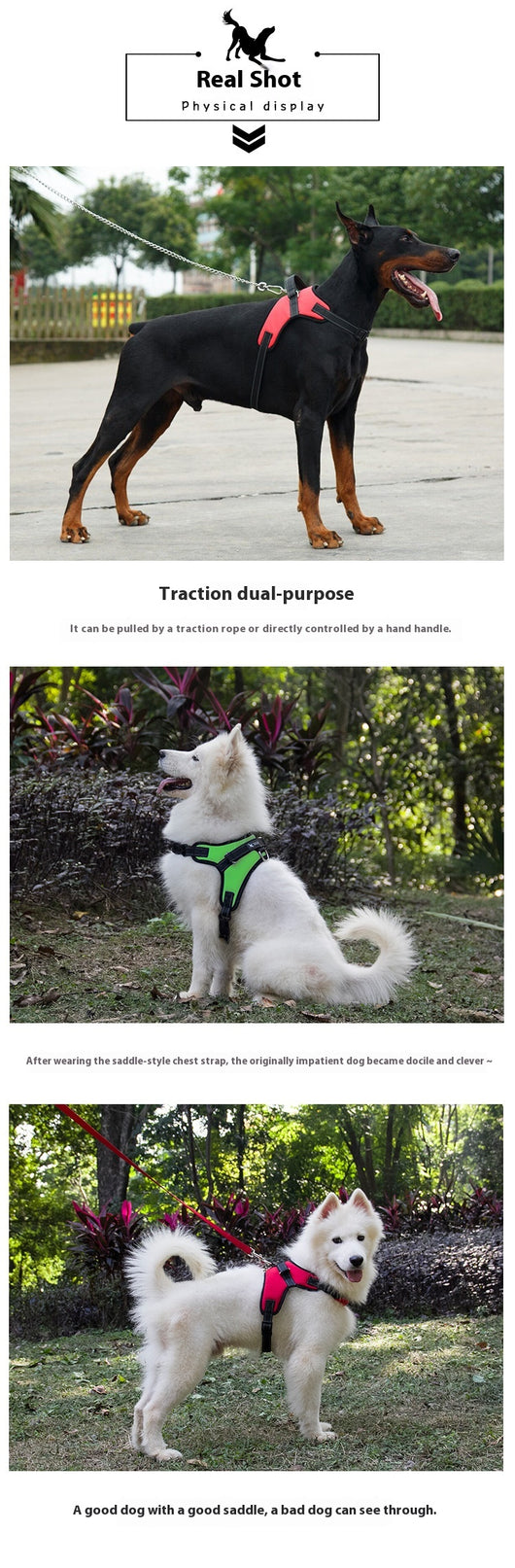 Blue and black mesh dog harness with adjustable straps, a D-ring for leash attachment, and a quick-release buckle. - Image 21
