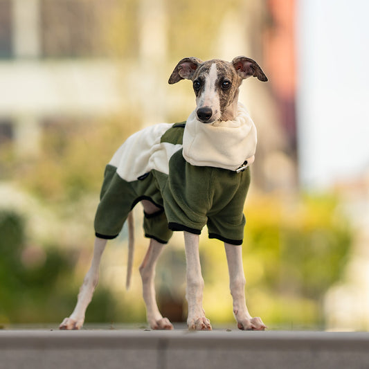 Abrigo Térmico para Mascotas con Cuello Desmontable Resistente al Viento