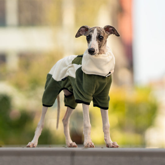 Abrigo Térmico para Mascotas con Cuello Desmontable Resistente al Viento